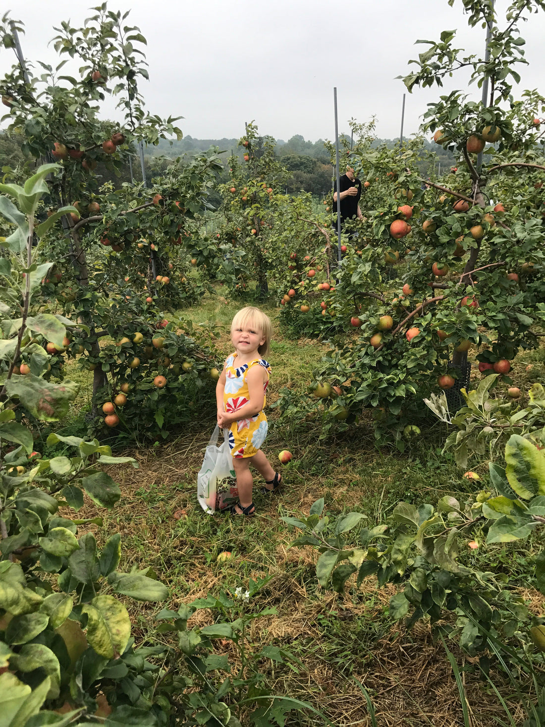 Fall Destination Ideas for Families