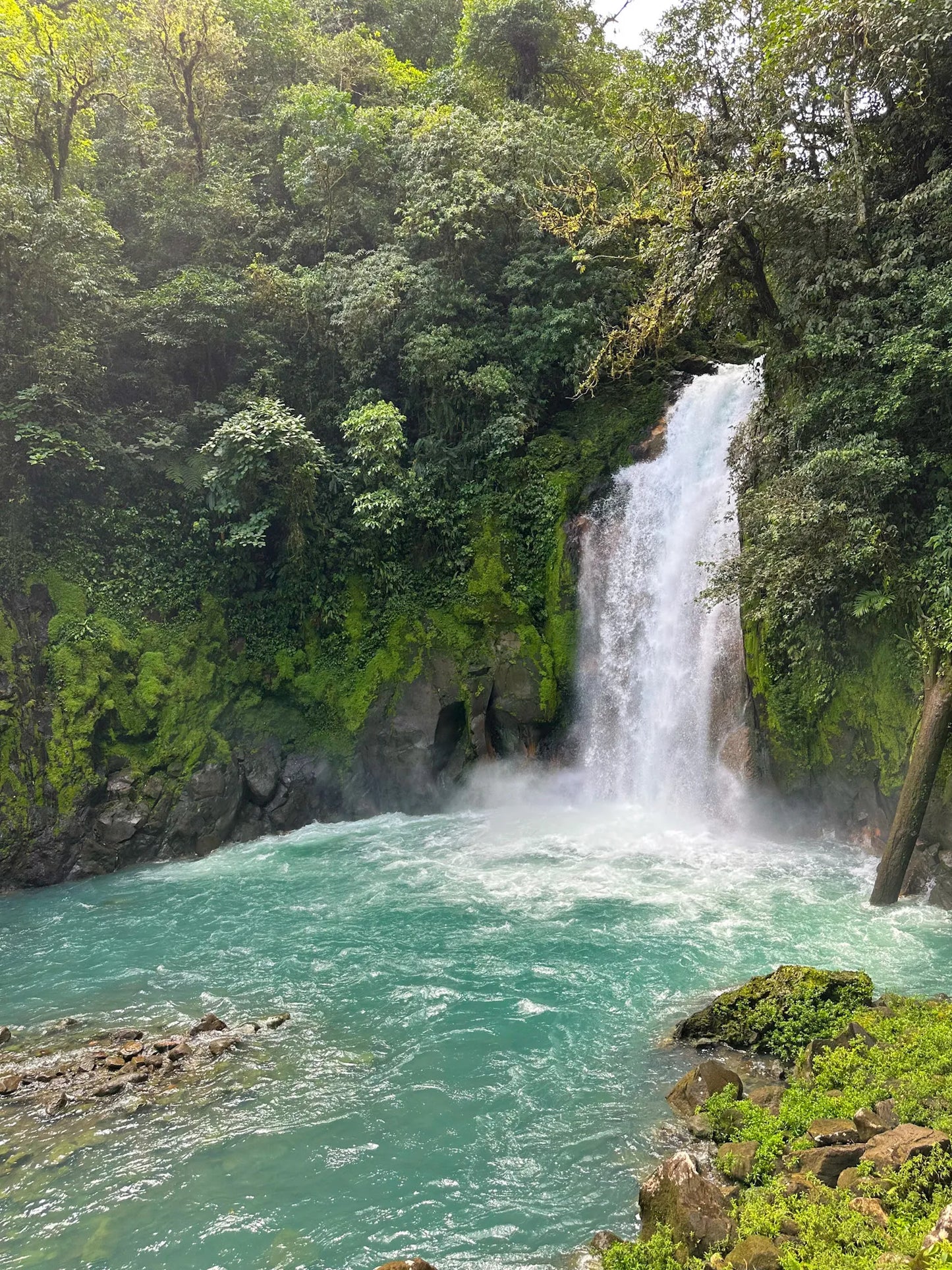 Costa Rica Travel Guide
