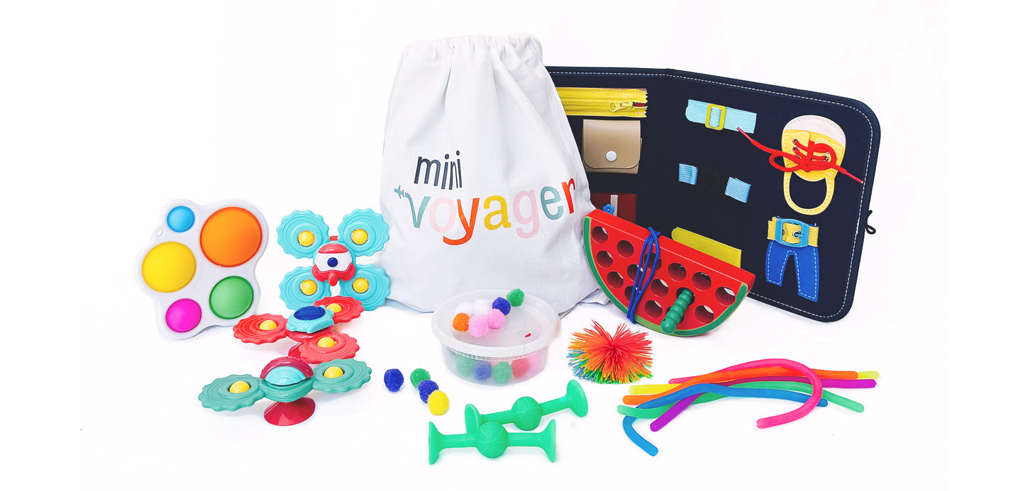 Toy Testing Sisters Baby Activity Kit