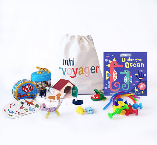 Animal Lover Jetsetter™ Activity Kit