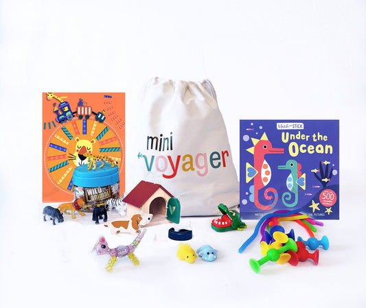 Animal Lover Jetsetter® Activity Kit